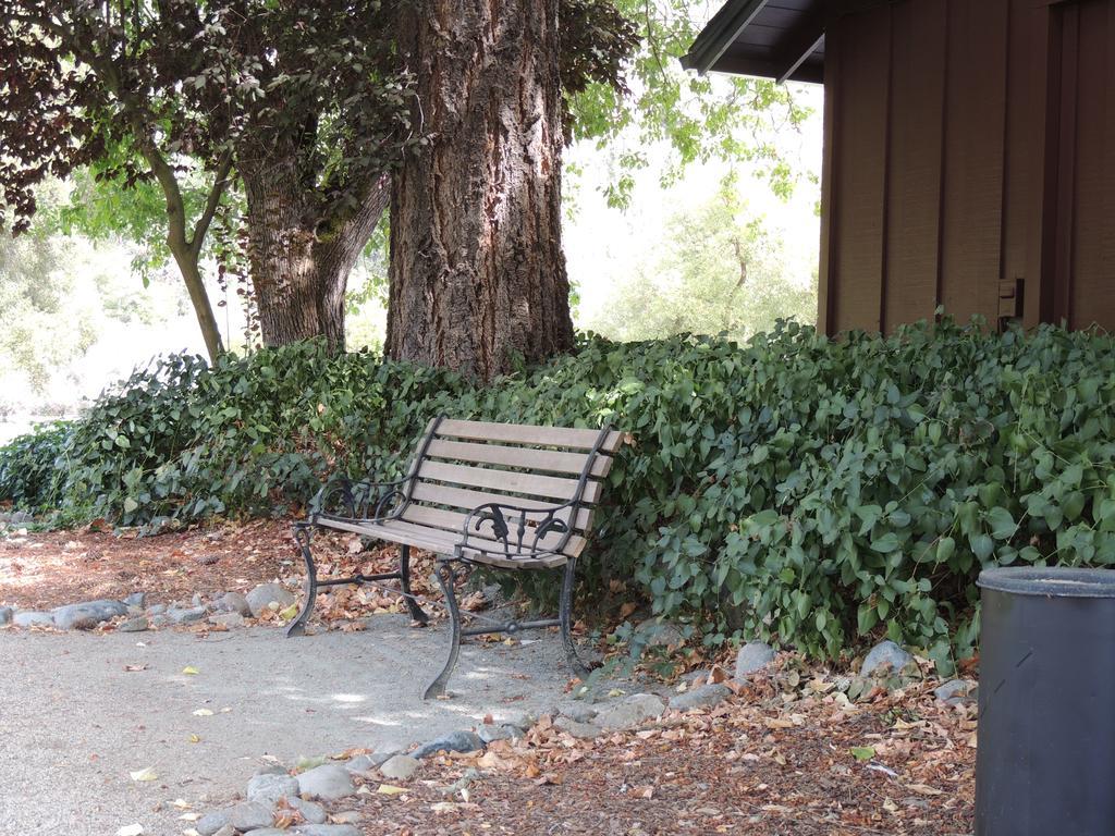 Indian Creek Lodge Douglas City Exterior foto